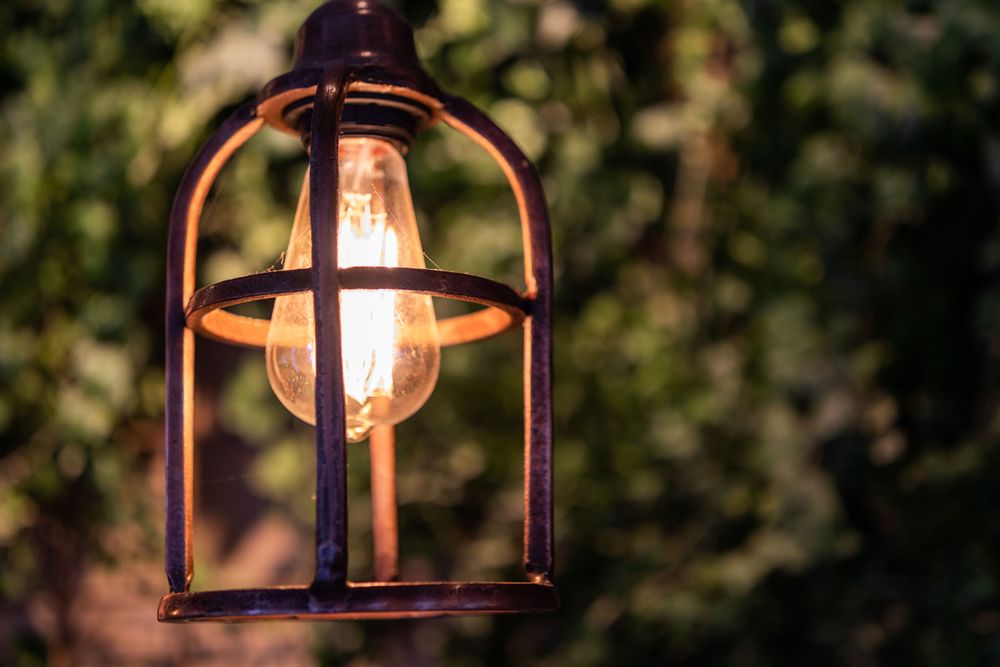 Daylight Lamp