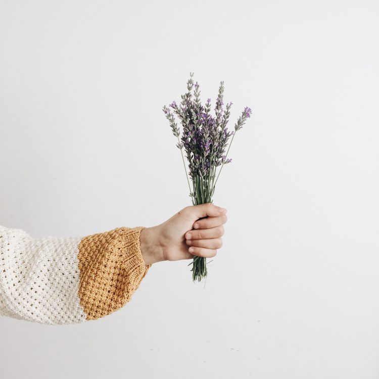 Lavendel