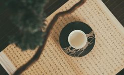 Alternative Therapien und ihre Wirkungsweise Teil 1 von 4: Traditionelle Chinesische Medizin